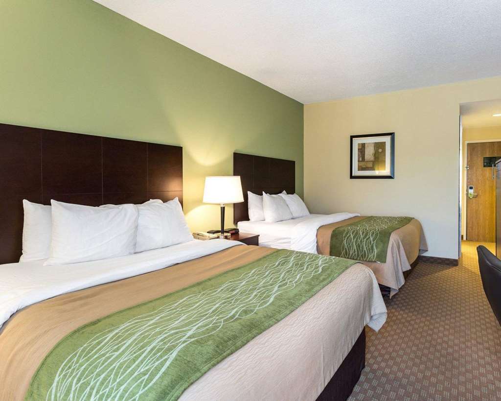 Comfort Inn Horn Lake Quarto foto
